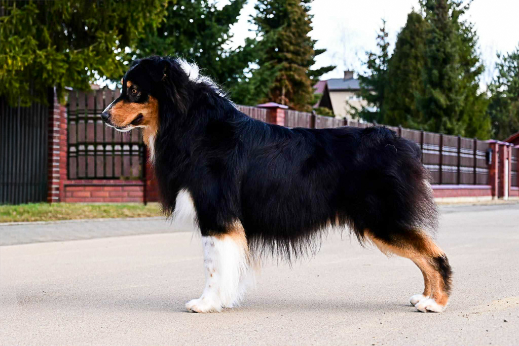 128e8339-8c76-417a-970b-c83fde6fec3d-2